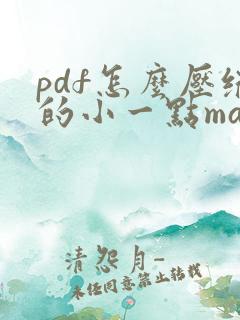 pdf怎么压缩的小一点mac