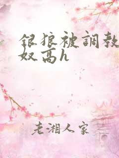 银狼被调教成肉奴高h