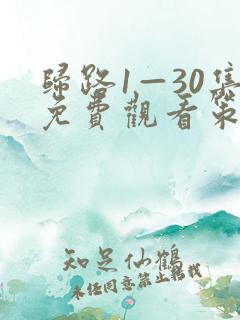 归路1—30集免费观看策驰影院