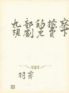 九部的检察官电视剧免费下载