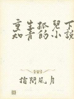 重生孤儿下乡做知青的小说