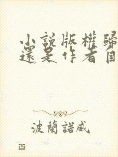 小说版权归网站还是作者自己