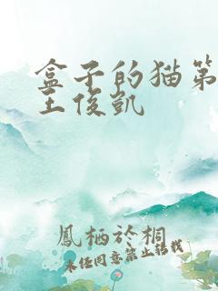 盒子的猫第二季王俊凯
