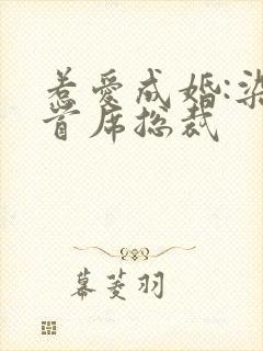 惹爱成婚:染指首席总裁