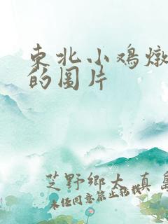 东北小鸡炖蘑菇的图片