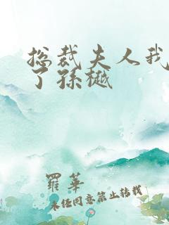 总裁夫人我当腻了孙樾