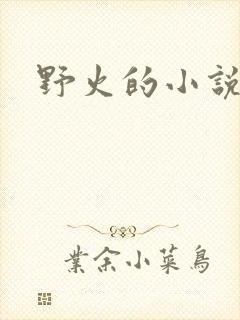 野火的小说