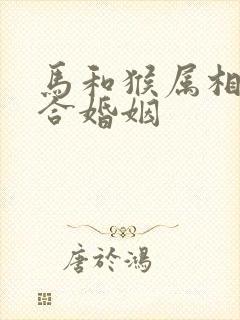 马和猴属相合不合婚姻
