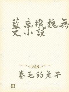 蓝忘机魏无羡原文小说