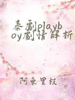 泰剧playboy剧情解析