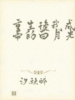 重生后我成了影帝的白月光
