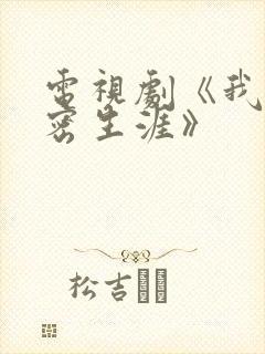 电视剧《我的绝密生涯》