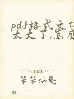 pdf格式文件太大了,怎么压缩大小