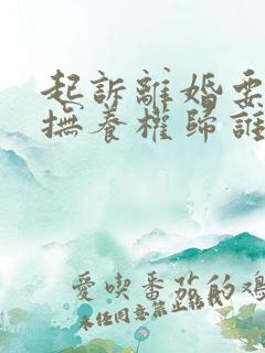 起诉离婚要小孩抚养权归谁