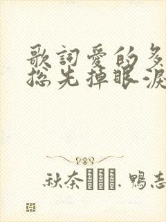 歌词爱的多的人总先掉眼泪