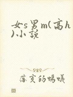 女s男m(高h)小说