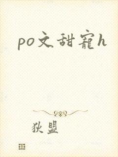 po文甜宠h