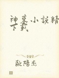神墓小说精校版下载