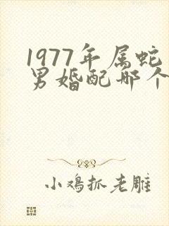 1977年属蛇男婚配哪个属相最好