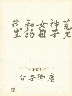 我和女神荒岛求生的日子免费阅读