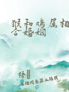 猴和鸡属相合不合婚姻