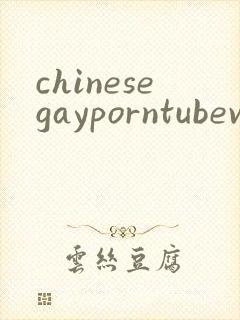 chinesegayporntubevideos