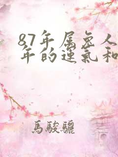 87年属兔人今年的运气和财运