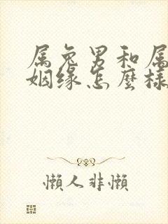 属兔男和属虎女姻缘怎么样