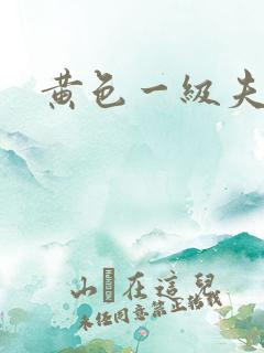 黄色一级夫妻片