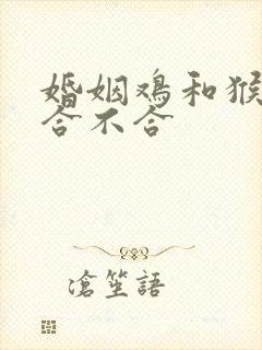 婚姻鸡和猴属相合不合