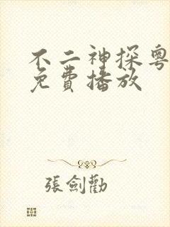 不二神探粤语版免费播放