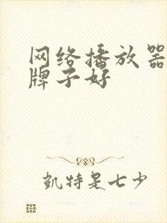 网络播放器哪个牌子好