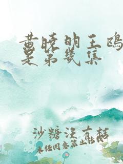 黄晓明王鸥吻戏是第几集