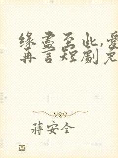 缘尽至此,爱不再言短剧免费播放