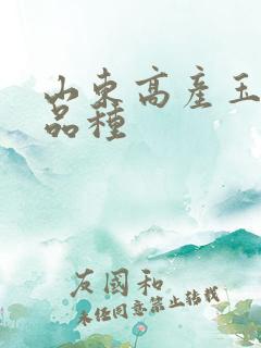 山东高产玉米新品种
