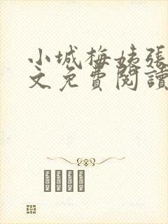 小城梅姨张强全文免费阅读