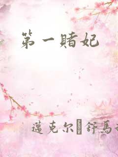 第一赌妃