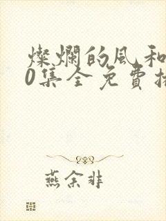 灿烂的风和海40集全免费播放