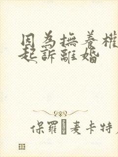 因为抚养权问题起诉离婚