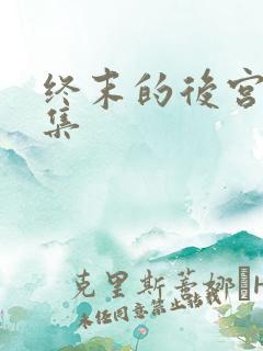 终末的后宫12集