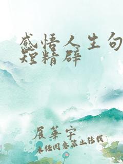 感悟人生句子简短精辟