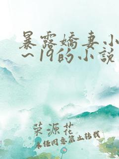 暴露娇妻小婷1～19的小说