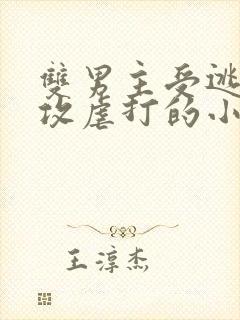 双男主受逃跑被攻虐打的小说在线阅读
