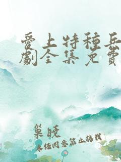 爱上特种兵电视剧全集免费观看
