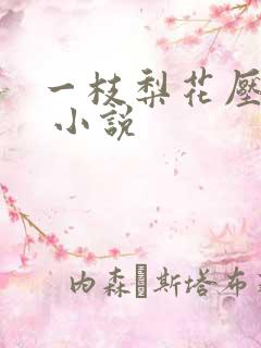 一枝梨花压海棠 小说