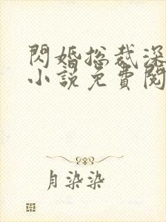闪婚总裁深度爱小说免费阅读
