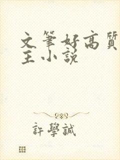 文笔好高质量女主小说