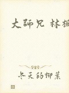 大师兄 林枫