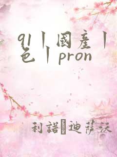 91丨国产丨九色丨pron