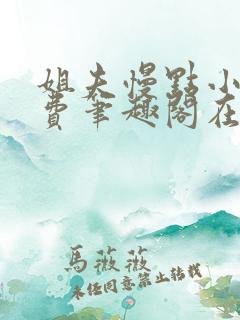 姐夫慢点小说免费笔趣阁在线阅读